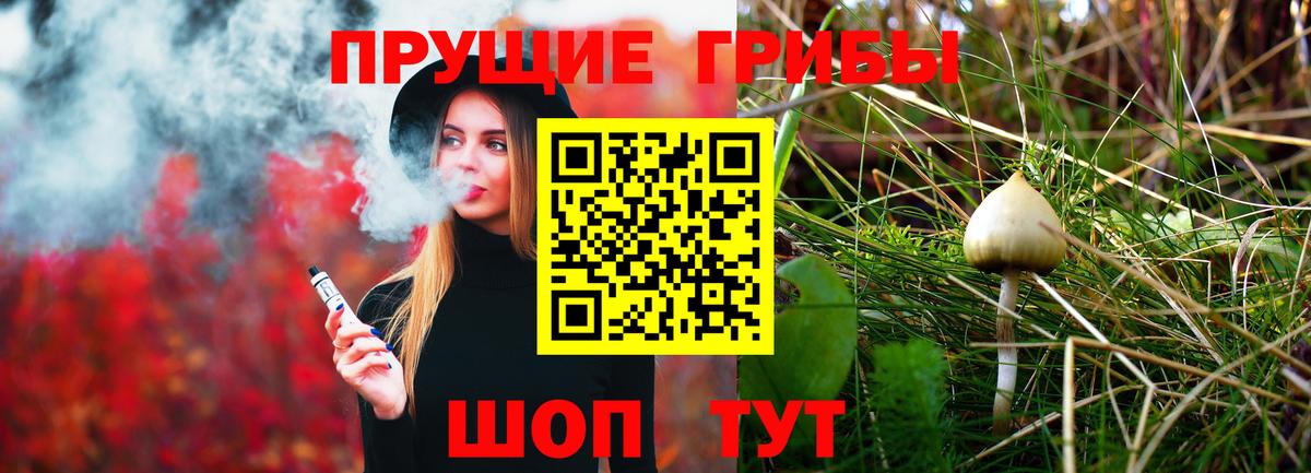 Псилоцибиновые грибы Psilocybe  Вход с VPN  Скопин 